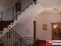 ZardWdrgHof5